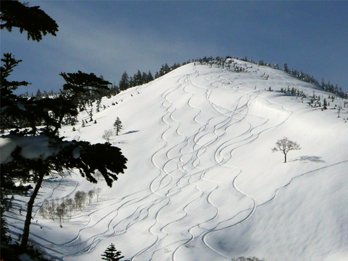 Kagura White Horse Inn Yuzawa  Buitenkant foto
